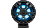 ECOXGEAR SoundExtreme ES08 Amplified Subwoofer